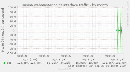 sasina.webmastering.cz interface traffic